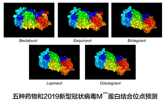 AI助力抗“疫”，科研机构联合华为云超大规模计算机助药物筛选