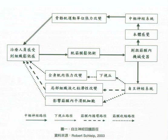 筋膜枪究竟是什么，真的有用吗？