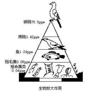 蓝炬星集成灶：疫情以后，还会有人敢吃野味吗？