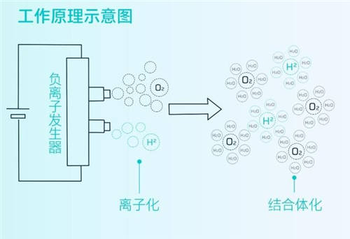 守护全方位，安全无死角，HYCAN 007将搭载HEPA高效空调滤芯