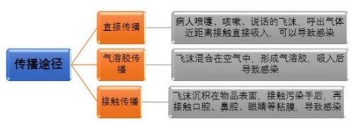 b-MOLA鱼仔空气净化器：警惕！无症状感染者也可成为传染源