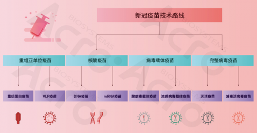 ACROBiosystems百普赛斯携整体解决方案出席创新峰会，助力加速疫苗研发上市进程