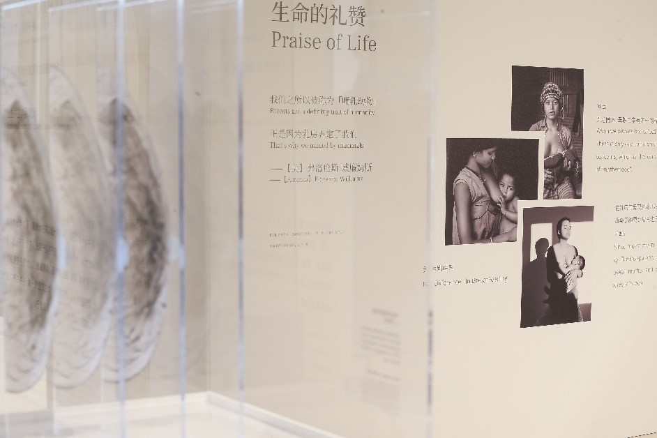 “粉红丝带关爱日”业内首个乳腺医学影像公益艺术展「乳房独白」正式启幕 呼吁女性及早、定期进行乳腺癌筛查