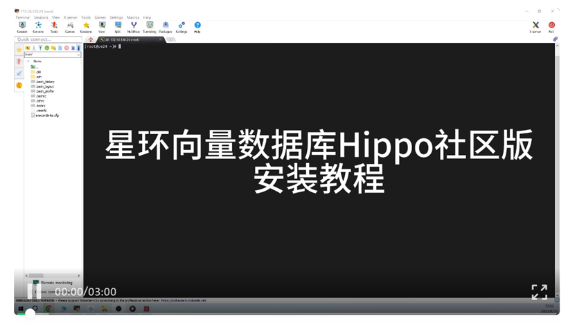 星环科技向量数据库Hippo社区版来啦：极简资源、极速安装，大模型场景DIY快速体验！