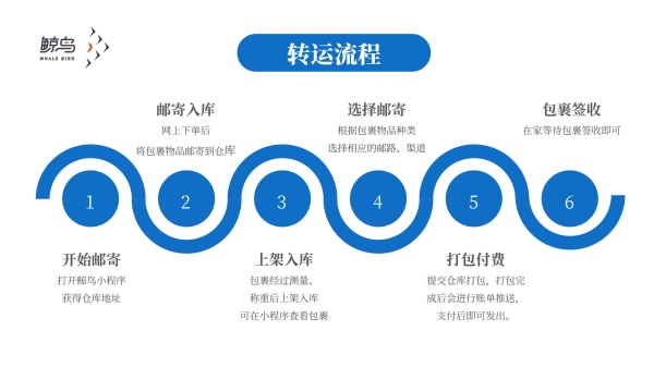 以客户为中心，鲸鸟集运多样化物流解决方案让您购物无忧